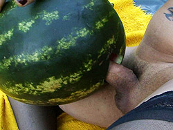 Rabeche rayale  horny tranny rabeche have sexual intercourse a bigass watermelon. Libidinous tranny Rabeche have intercourse a bigass watermelon